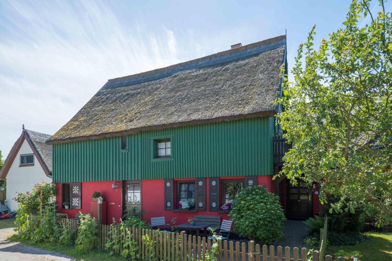 Toepferweg 06 Ferienwohnung Tine Ahrenshoop Exteriér fotografie